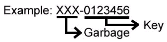Example: XXX-0123456